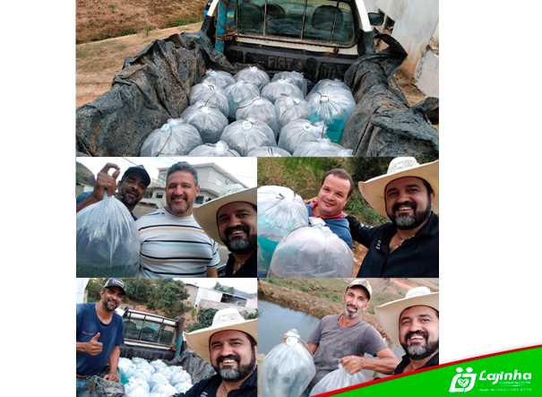 SECRETARIA DE AGRICULTURA E ABASTECIMENTO REALIZA ENTREGA DE MAIS 30 MIL FILHOTES DE TILÁPIA